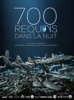 Watch 700 requins dans la nuit Putlocker
