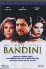 Watch Wait Until Spring, Bandini Putlocker