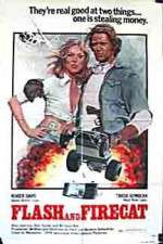 Watch Flash and the Firecat Putlocker