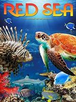 Watch Red Sea 4K Putlocker