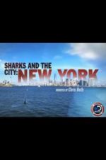 Watch Sharks and the City: New York Putlocker