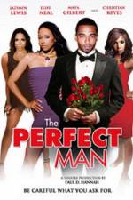 Watch The Perfect Man Putlocker