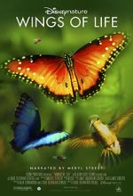 Watch Disneynature: Wings of Life Putlocker