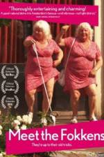 Watch Meet the Fokkens Putlocker