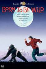 Watch Born to Be Wild Putlocker