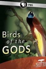 Watch Birds Of The Gods Putlocker