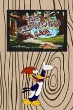 Watch The Redwood Sap (Short 1951) Putlocker