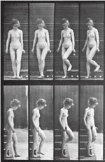 Watch Woman Walking Downstairs Putlocker