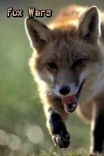 Watch Fox Wars Putlocker