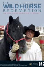 Watch The Wild Horse Redemption Putlocker