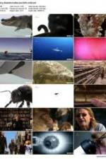 Watch History Channel Evolve: Sex Putlocker