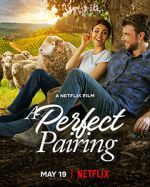 Watch A Perfect Pairing Putlocker