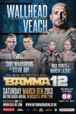 Watch BAMMA 12: Wallhead vs Veach Putlocker