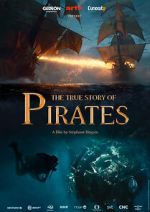 Watch The True Story of Pirates Putlocker