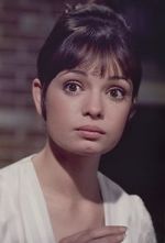 Watch Gidget Grows Up Putlocker