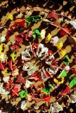 Watch Bollywood: The Greatest Love Story Ever Told Putlocker