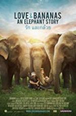 Watch Love & Bananas Putlocker