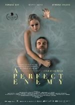 Watch A Perfect Enemy Putlocker