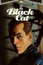 Watch The Black Cat Putlocker