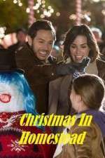 Watch Christmas in Homestead Putlocker