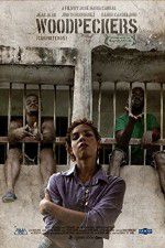 Watch Woodpeckers Putlocker