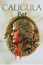Watch Caligula's Pet Putlocker