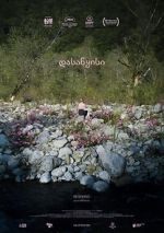 Watch Beginning Putlocker