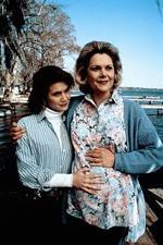 Watch Labor of Love The Arlette Schweitzer Story Putlocker