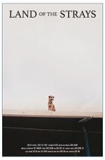 Watch Land of the Strays (Short 2018) Putlocker