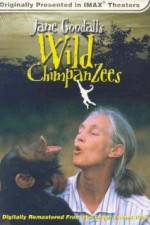 Watch Jane Goodall's Wild Chimpanzees Putlocker