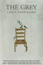 Watch The Grey Putlocker