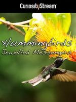 Watch Hummingbirds Jewelled Messengers Putlocker