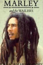 Watch Caribbean Nights Putlocker