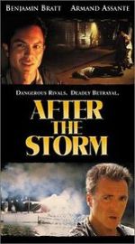 Watch After the Storm Putlocker