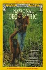 Watch Search for the Great Apes Putlocker