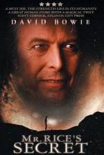 Watch Mr. Rice's Secret Putlocker