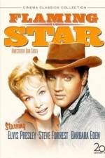 Watch Flaming Star Putlocker