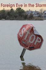 Watch Foreign Eye in the Storm Putlocker