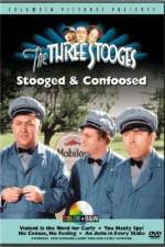 Watch No Census No Feeling Putlocker