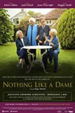 Watch Nothing Like a Dame Putlocker