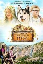 Watch Timber the Treasure Dog Putlocker