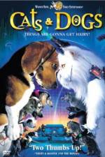 Watch Cats & Dogs Putlocker
