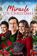 Watch Miracle on Christmas Putlocker