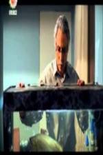 Watch The Disgraced Putlocker