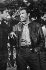 Watch The Devil's 8 Putlocker