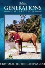 Watch Cristobalito the Calypso Colt Putlocker