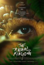 Watch The Animal Kingdom Putlocker