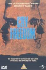 Watch Cry Freedom Putlocker