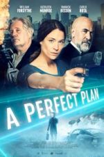 Watch A Perfect Plan Putlocker