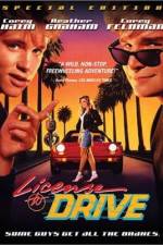 Watch License to Drive Putlocker